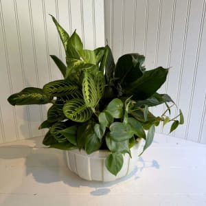 Dish Gardens Flower Bouquet