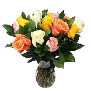 Dz Roses Mixed (COLORS VARY) Medium Stem Summer Special Flower Bouquet