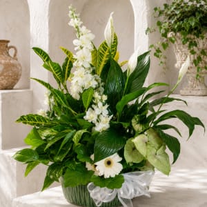 White Blossom Dish Garden Flower Bouquet
