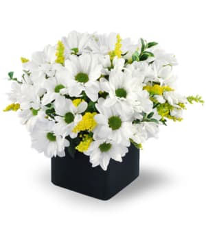 Daisy Delight Flower Bouquet
