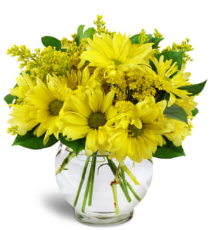 Daisy Dreams™ Flower Bouquet