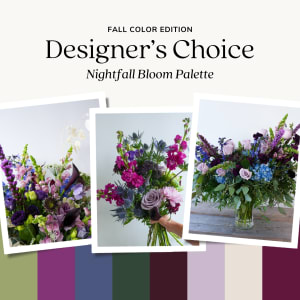Nightfall Bloom™ Designer's Choice