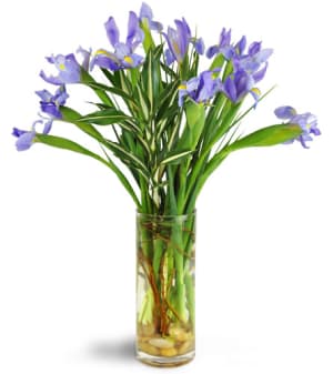 Truly Tranquil™ Flower Bouquet