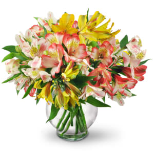 Perfect Peruvian Lilies Flower Bouquet