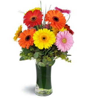 Daisy Rainbow™ Flower Bouquet