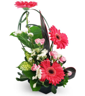 To The Top!™ Flower Bouquet