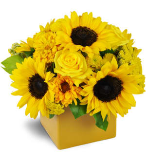 Showers of Sunbeams™ Flower Bouquet