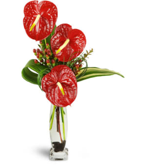 Elegant Red Anthurium™ Flower Bouquet