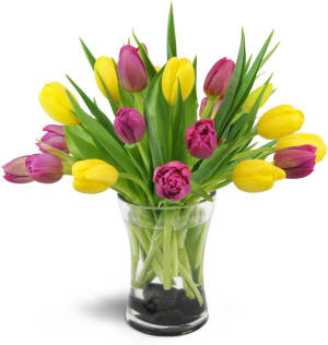 Springtime Duet™ Flower Bouquet
