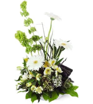 Gerbera Daisy Remembrance™ Flower Bouquet