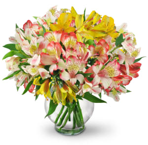 Perfect Peruvian Lilies Flower Bouquet