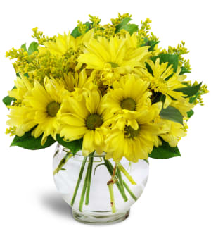 Daisy Dreams™ Flower Bouquet