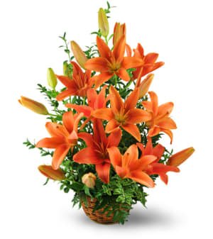 Asiatic Lily Basket Flower Bouquet
