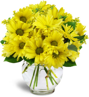 Daisy Dreams™ Flower Bouquet