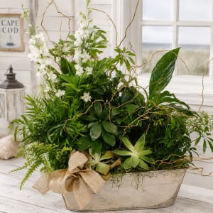 Foliage & Succulent Planter Flower Bouquet