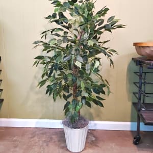 Permanent Ficus Tree Flower Bouquet
