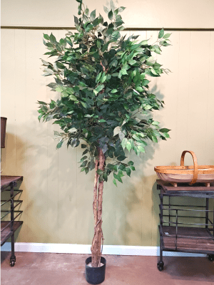 Permanent Ficus Tree Flower Bouquet