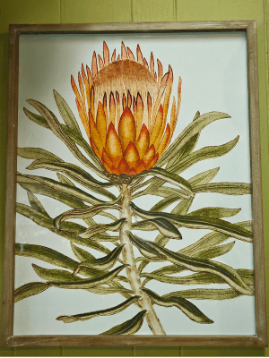 Botanical Framed Picture Flower Bouquet