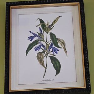 Botanical Framed Picture Flower Bouquet