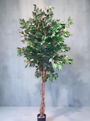 Permanent Ficus Tree Flower Bouquet