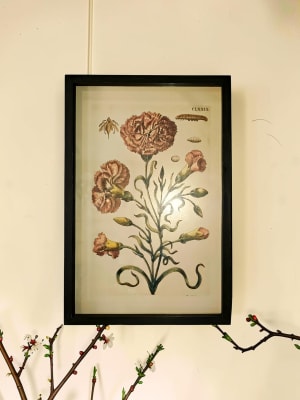 Botanical Framed Picture Flower Bouquet