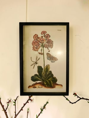 Botanical Framed Picture Flower Bouquet