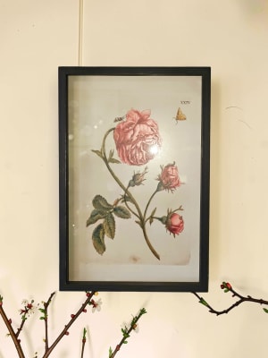 Botanical Framed Picture Flower Bouquet