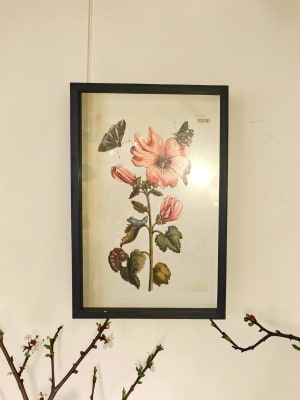 Botanical Framed Picture Flower Bouquet
