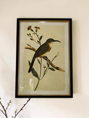 Aviary Framed Picture Flower Bouquet