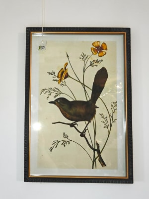 Aviary Framed Picture Flower Bouquet