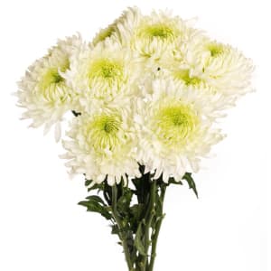 Cremons Flower Bouquet