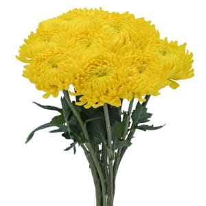 Cremons Flower Bouquet