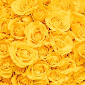 Spray Roses Flower Bouquet