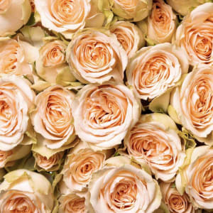 Spray Roses Flower Bouquet