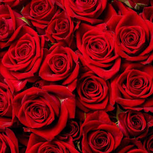 Spray Roses Flower Bouquet