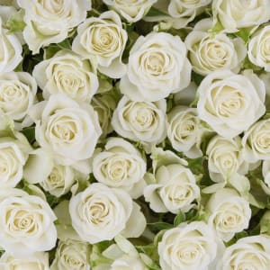 Spray Roses Flower Bouquet