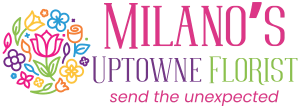 Milano's UpTowne Florist - Columbus, OH Florist