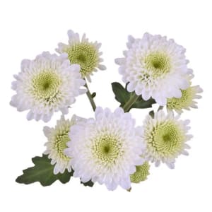 Buttons Flower Bouquet