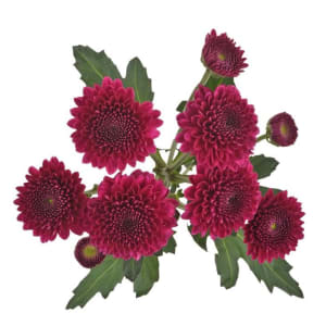 Buttons Flower Bouquet