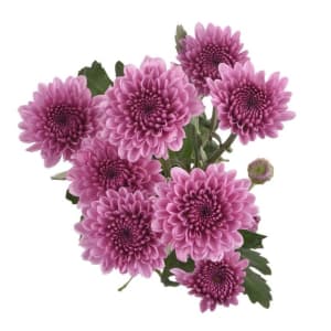 Buttons Flower Bouquet