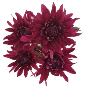 Cushions Flower Bouquet