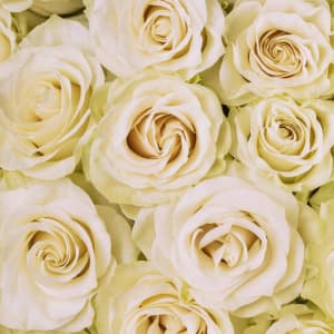 White Roses Mondial Flower Bouquet