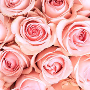 Pink Light Novia Flower Bouquet