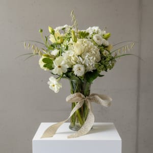 Designer's Choice Soft & Neutral