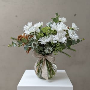 Designer's Choice Soft & Neutral