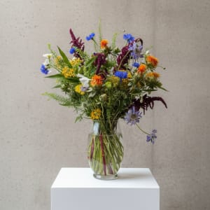 Designer's Choice Bold & Bright