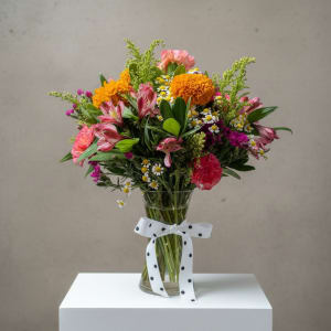 Designer's Choice Bold & Bright