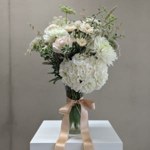 Designer's Choice Soft & Neutral