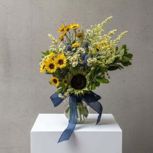 Sunflower Garden