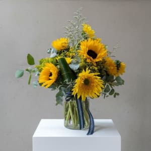 Sunflower Garden